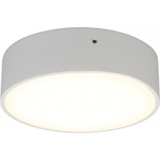 Потолочный светильник светодиодный Evon APL.0113.09.12