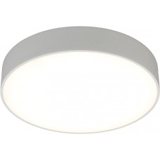 Потолочный светильник светодиодный Evon APL.0114.09.24