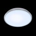 Потолочный светодиодный светильник Луна CL702301N