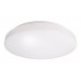Потолочный светильник Euro LED 348019