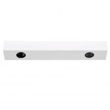 Потолочный светильник DL18629 DL18629/2Kit W Dim