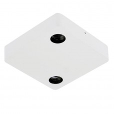 Потолочный светильник DL18629 DL18629/SQ2 Kit W Dim