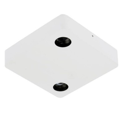 Потолочный светильник DL18629 DL18629/SQ2 Kit W Dim