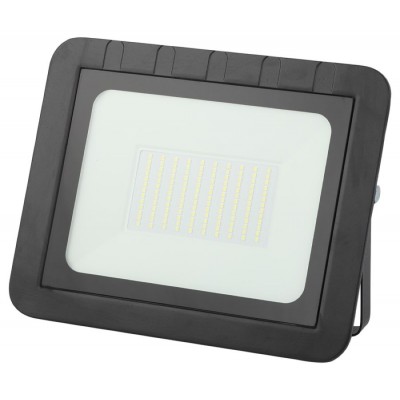 Прожектор уличный светодиодный LPR-061-0-65K-100 IP65