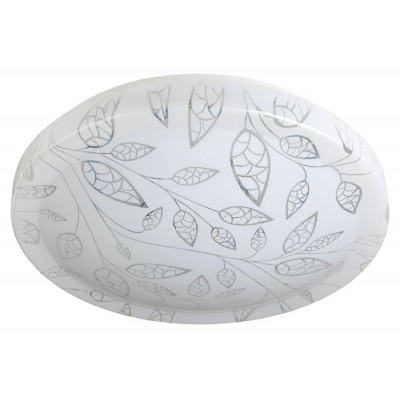 Потолочный светильник светодиодный SPB-6-18-4K (C)