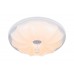 Потолочный светодиодный светильник 10231/S LED