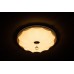 Потолочный светодиодный светильник 10231/S LED
