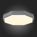 Потолочный светильник светодиодный Rondo SLE200872-01