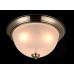 Потолочный светильник Planum FR2913-CL-03-BZ