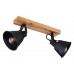 Спот G?nther 15466S-2