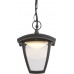 Уличный подвесной светильник Delio LED 31829