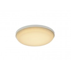 Потолочный светильник уличный Caio LED 32105-12