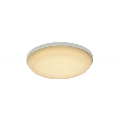 Потолочный светильник уличный Caio LED 32105-12