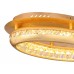 Потолочная люстра светодиодная Hommi 67096-18G