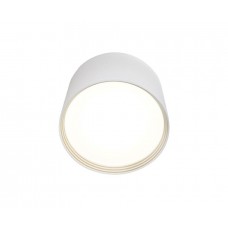 Потолочный светильник светодиодный Медина 05410,01