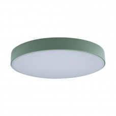 Потолочный светильник светодиодный Axel 10002/24 Green