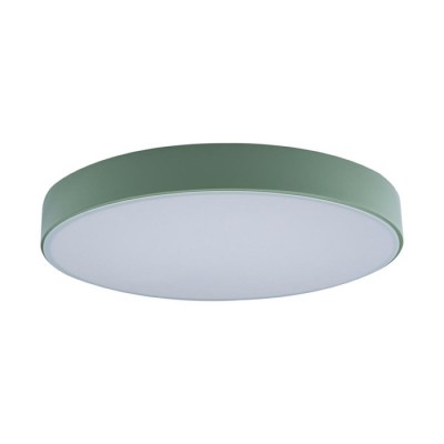 Потолочный светильник светодиодный Axel 10002/24 Green