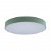 Потолочный светильник светодиодный Axel 10002/24 Green