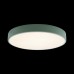 Потолочный светильник светодиодный Axel 10002/24 Green