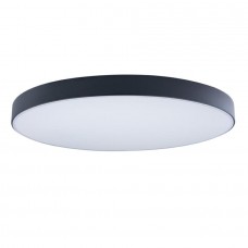 Потолочный светильник светодиодный Axel 10002/48 Black