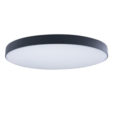 Потолочный светильник светодиодный Axel 10002/48 Black