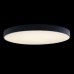 Потолочный светильник светодиодный Axel 10002/48 Black