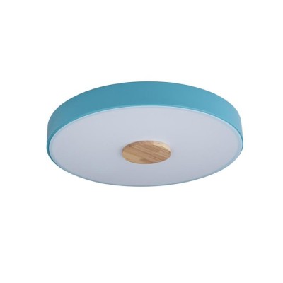 Потолочный светильник светодиодный Axel 10003/24 Blue