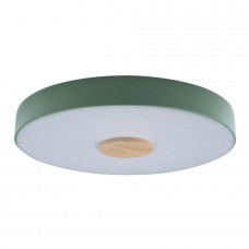 Потолочный светильник светодиодный Axel 10003/24 Green