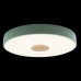 Потолочный светильник светодиодный Axel 10003/24 Green