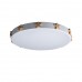 Потолочный светильник светодиодный для детской Axel 10006/36 White Потолочный светильник светодиодный для детской Axel 10006/36 White