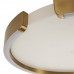 Потолочный светильник светодиодный Ring 10026