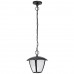 Уличный подвесной светильник светодиодный Lampione 375070