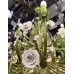 Большая люстра Fiori di rose 1770.24