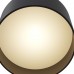 Накладной светодиодный светильник Planet C009CW-L12B