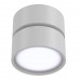 Накладной светодиодный светильник Onda C024CL-L12W4K