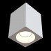 Потолочный светильник уличный светодиодный Sirius C030CL-01W IP65