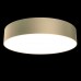 Потолочный светильник светодиодный Zon C032CL-L43MG3K