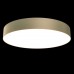 Потолочный светильник светодиодный Zon C032CL-L48MG4K