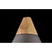Подвесной светильник Bicones P359-PL-220-C
