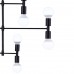 Потолочная люстра LOFT LUX 75129/12C BLACK