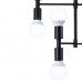 Потолочная люстра LOFT LUX 75129/12C BLACK