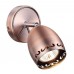 Спот Veterum 370559