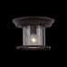 Потолочный светильник уличный Lastero SL080.402.01