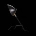 Интерьерная настольная лампа Spruzzo SL305.404.01