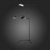 Торшер с выключателем Spruzzo SL305.405.03