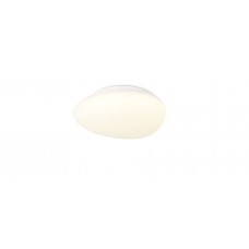 Потолочный светильник светодиодный 1205-LED12CL