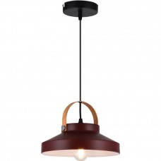 Подвесной светильник Wendi TL1225H-01OR